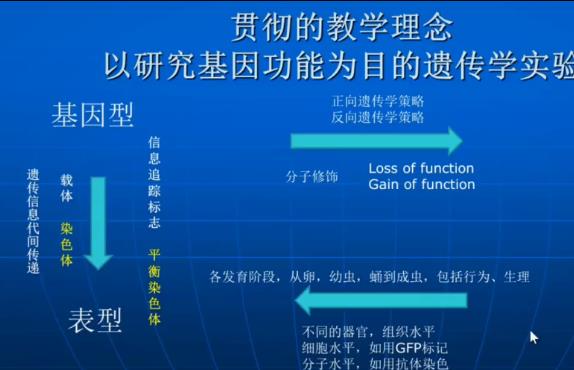 遗传学实验视频教学
