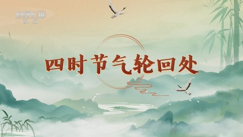 百家讲坛延年益寿话养生（第一部）