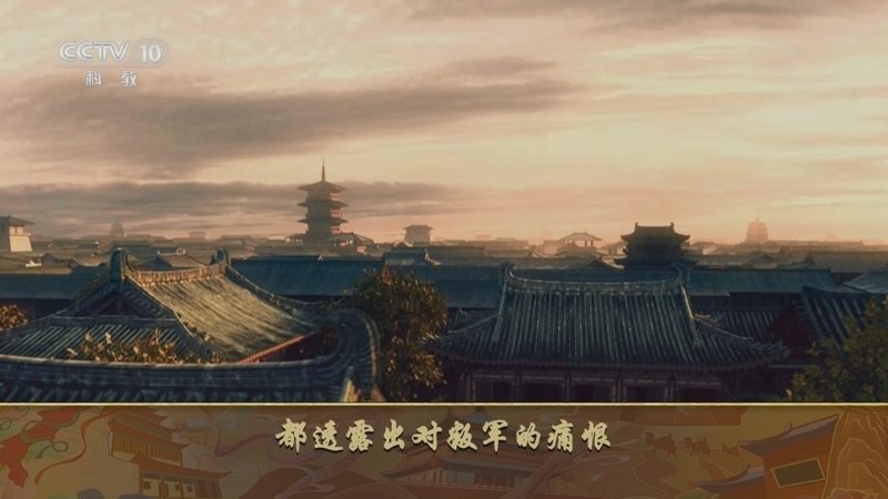 百家讲坛杜甫这辈子（中部）