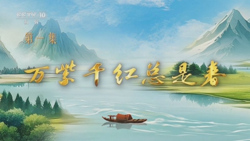 百家讲坛特别节目《我见青山》