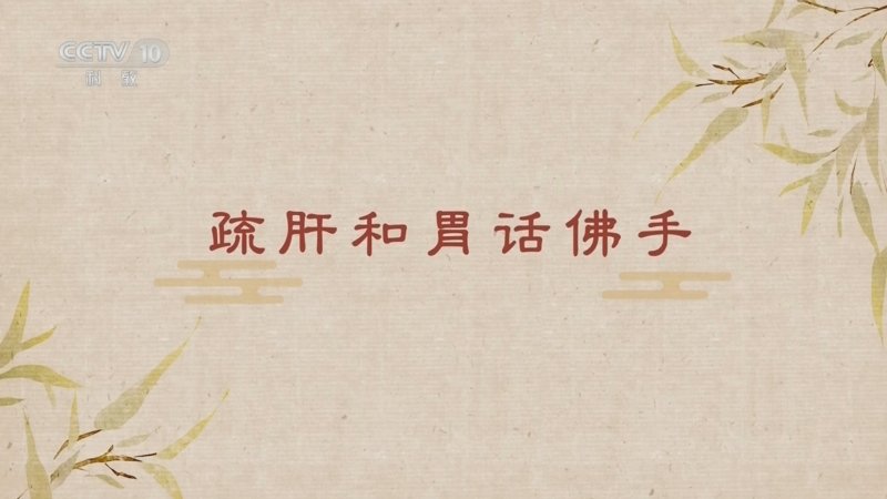 百家讲坛舌尖上的养生（第三部）