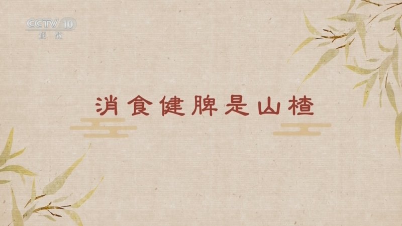 百家讲坛舌尖上的养生（第二部）