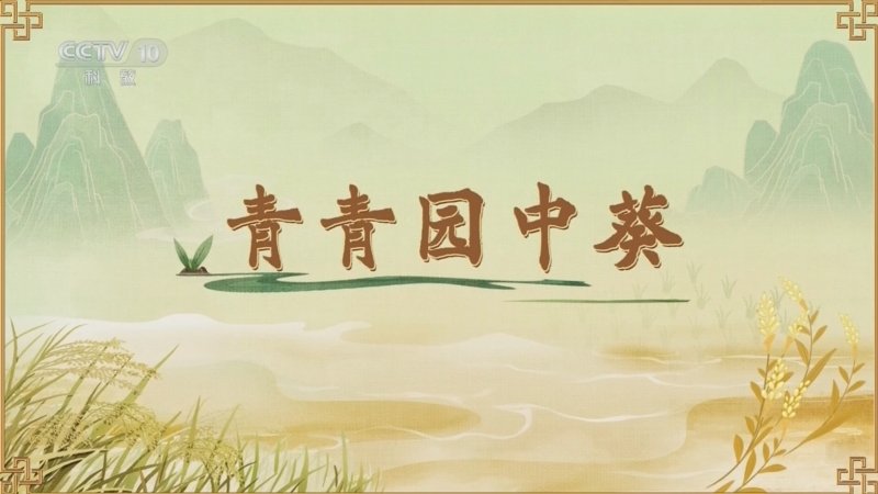 百家讲坛食物的历史（第二部）