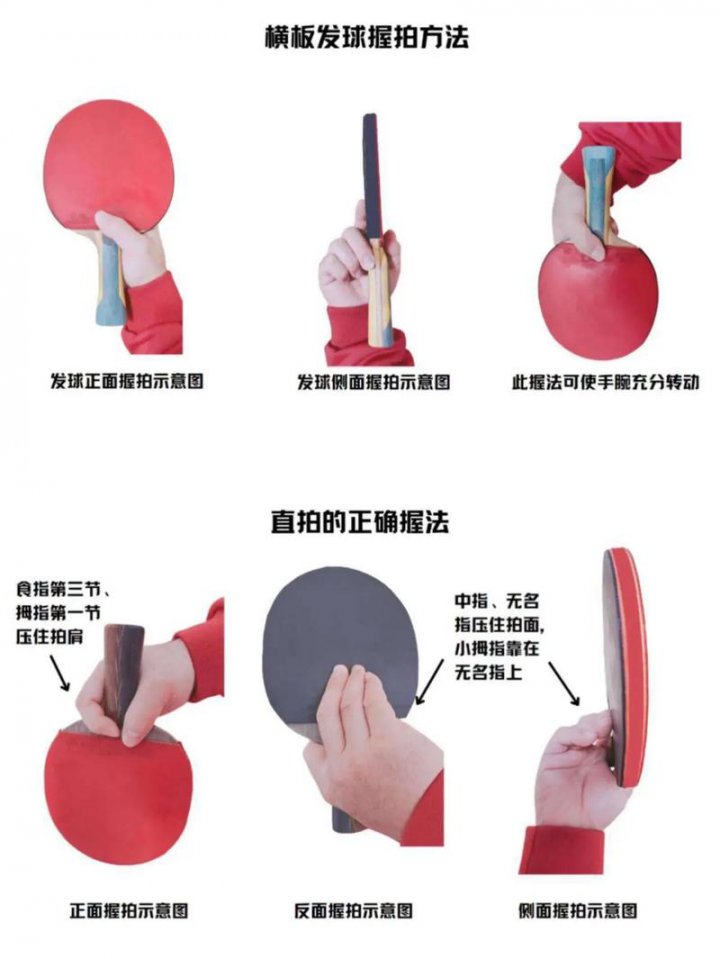 乒乓球教程｜乒乓球高手：技巧、策略与秘密 - 乒乓球教学场景