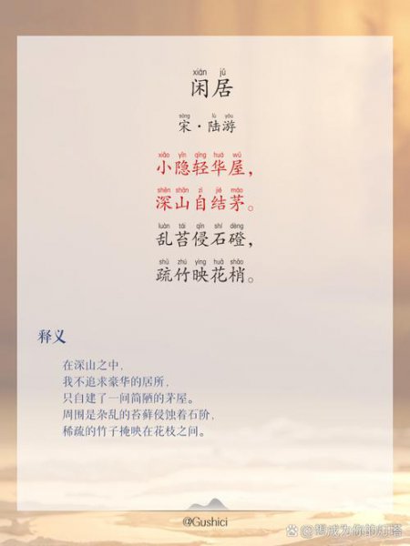 陆游传 - 相关描述
