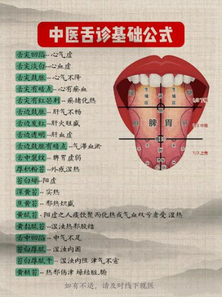 中医舌诊