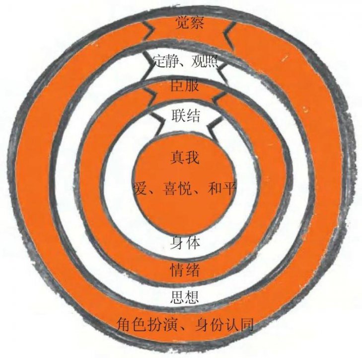 《武志红心理学课》如何成为你自己 - 自我觉察与内在联结