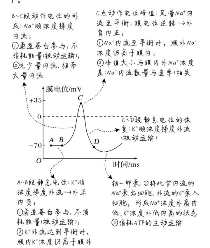 电位分析法