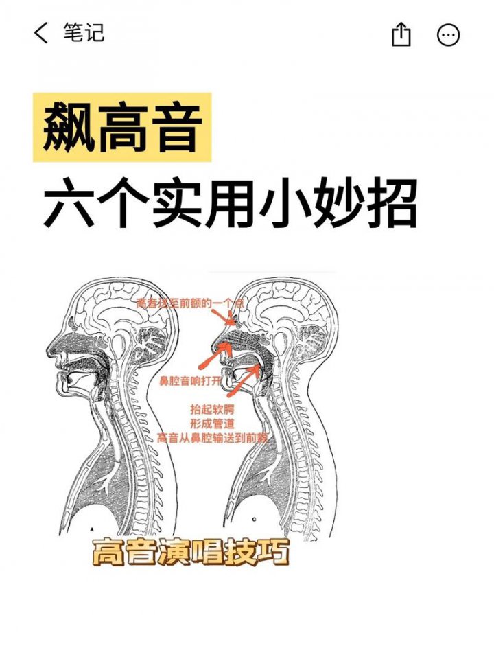 声乐技巧