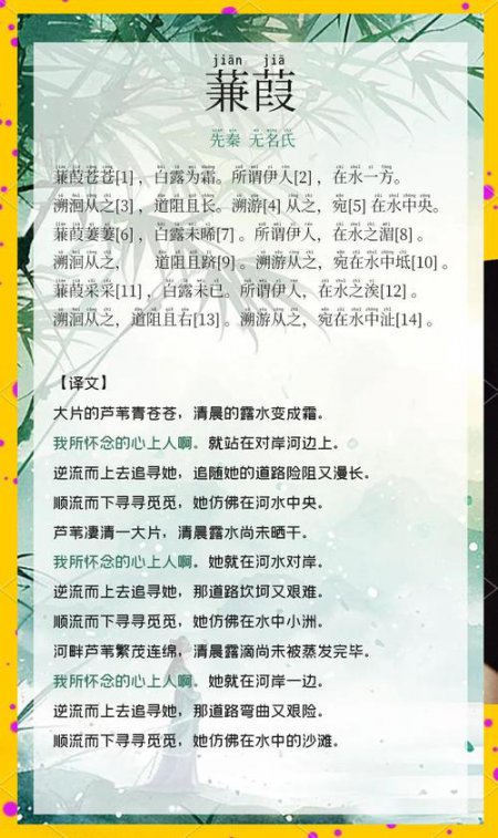 诗经解读