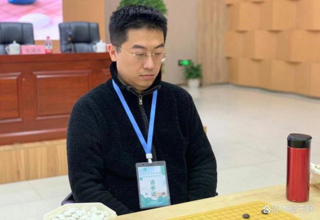 【中国象棋】胡荣华讲解 | 象棋基础及提升教程（全集） - 相关描述