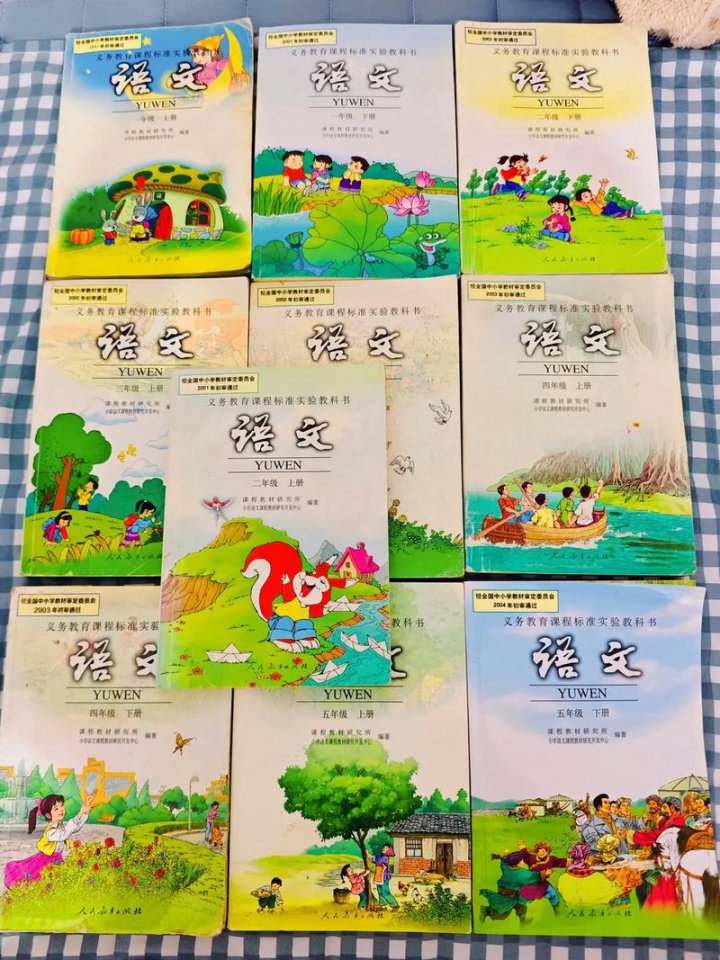 初中语文中考冲刺课 - 相关描述