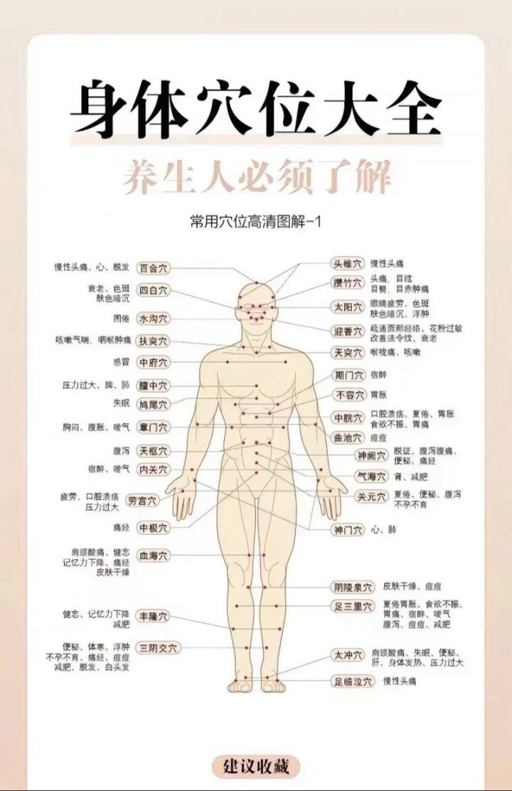 艾灸入门教程（全88集） - 穴位图示