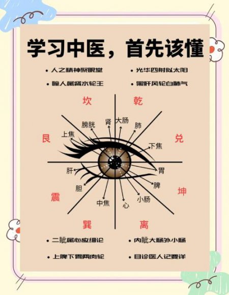中医眼科教学