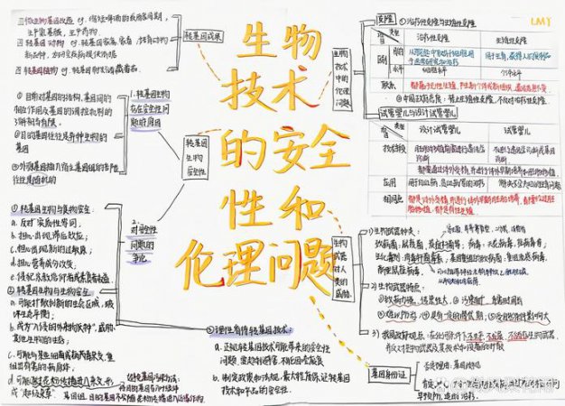 生物伦理