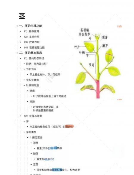 中国农业大学：植物学课程视频 - 相关描述
