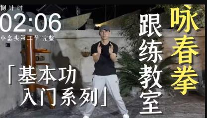 咏春拳全套视频专辑