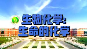 【西北农林科技大学】基础生物化学精品课