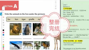 2026新版人教七年级下册英语课文精讲