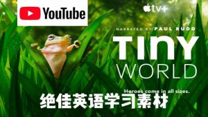 小小世界TinyWorld第一、二季