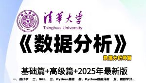 【数据分析基础+高级篇】课程