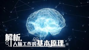 【浙江大学】神经科学基础与疾病【全56讲】