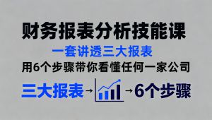 财务报表分析技能课