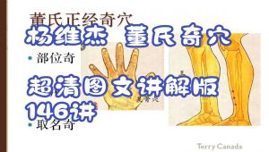 杨维杰 董氏奇穴 课程
