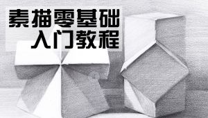 新手零基础素描教程