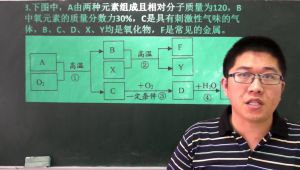 中考化学复习提高练习题讲解课