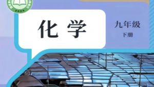 人教版新编九年级化学下册实验及素材