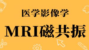 影像学——MRI磁共振课程