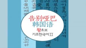 韩语入门、初级、中级实用口语