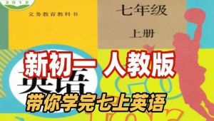 人教版初一英语 七年级上下册 同步基础课