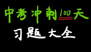 中考化学冲刺100天经典习题讲解