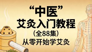 艾灸入门教程（全88集）