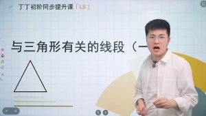 八年级数学初阶提升课系统精讲