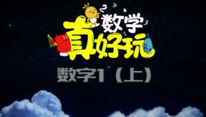 少儿数学启蒙课-数学真好玩