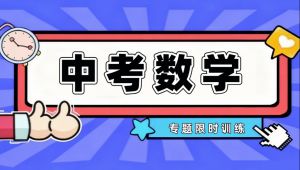 【中考数学总复习】基础+提高+冲刺讲解