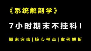 《系统解剖学》期末速成课科丨考点总结
