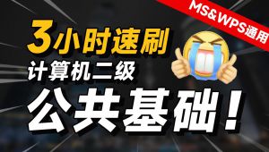 3小时速刷计算机二级公共基础选择题