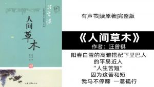 汪曾祺《人间草木》有声书|读原著|