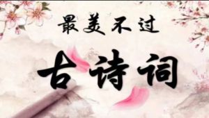 【古诗赏析】最美古诗词50首，品味诗意人生