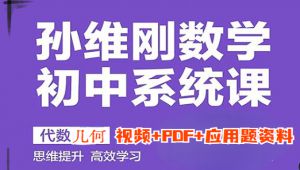 初中数学系统课全套