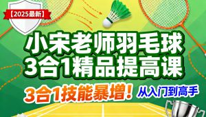 羽毛球3合1精品提高课