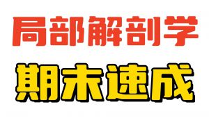 《局部解剖学》期末复习