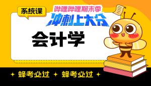 《会计学》系统学习|期末
