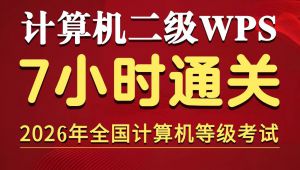 计算机二级WPS高频考点通关