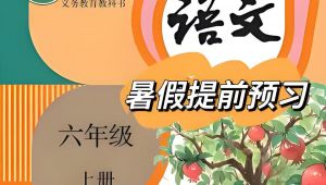  人教部编版小学六年级语文上下册 考点解析