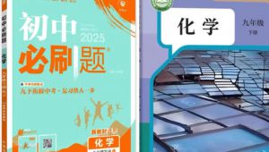 2026初三化学上化学必刷题精讲